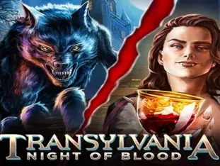 Transylvania Night Of Blood screenshot